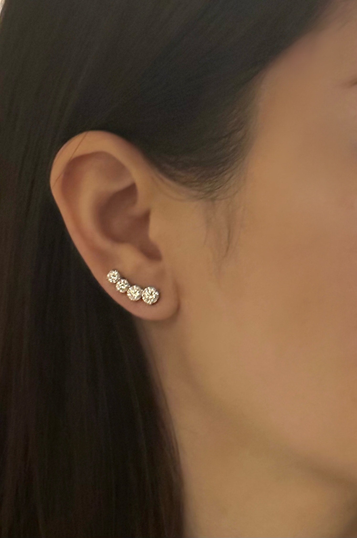 Fashionista Earrings