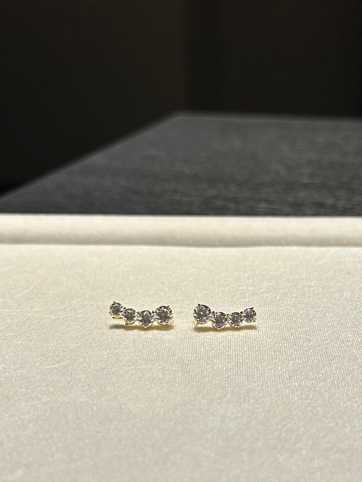 Fashionista Earrings