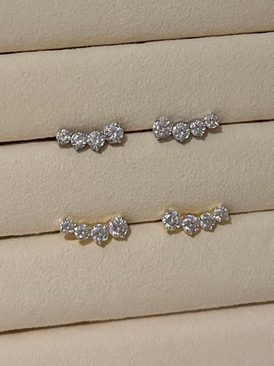 Fashionista Earrings