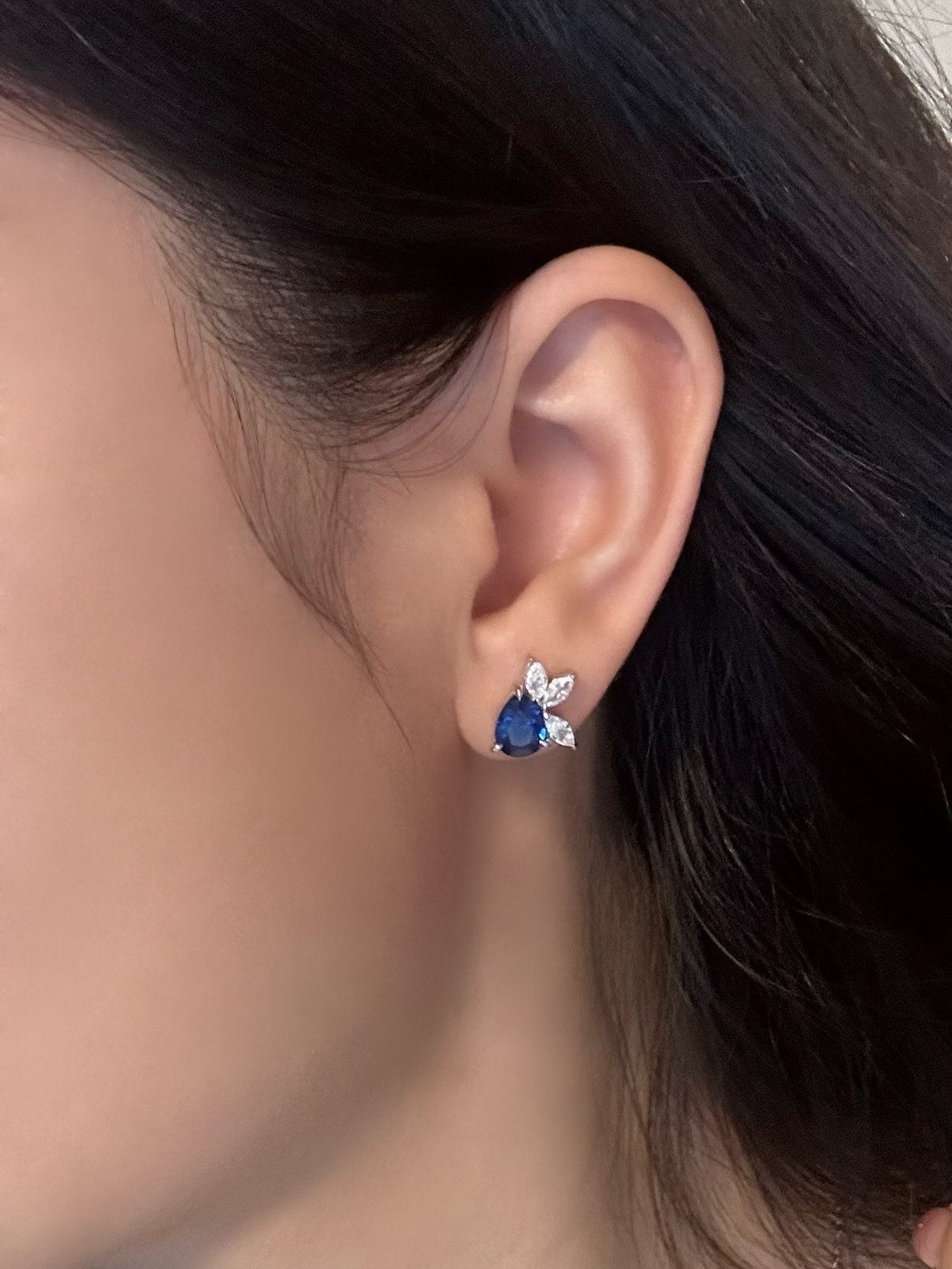 Royal Blue Earrings