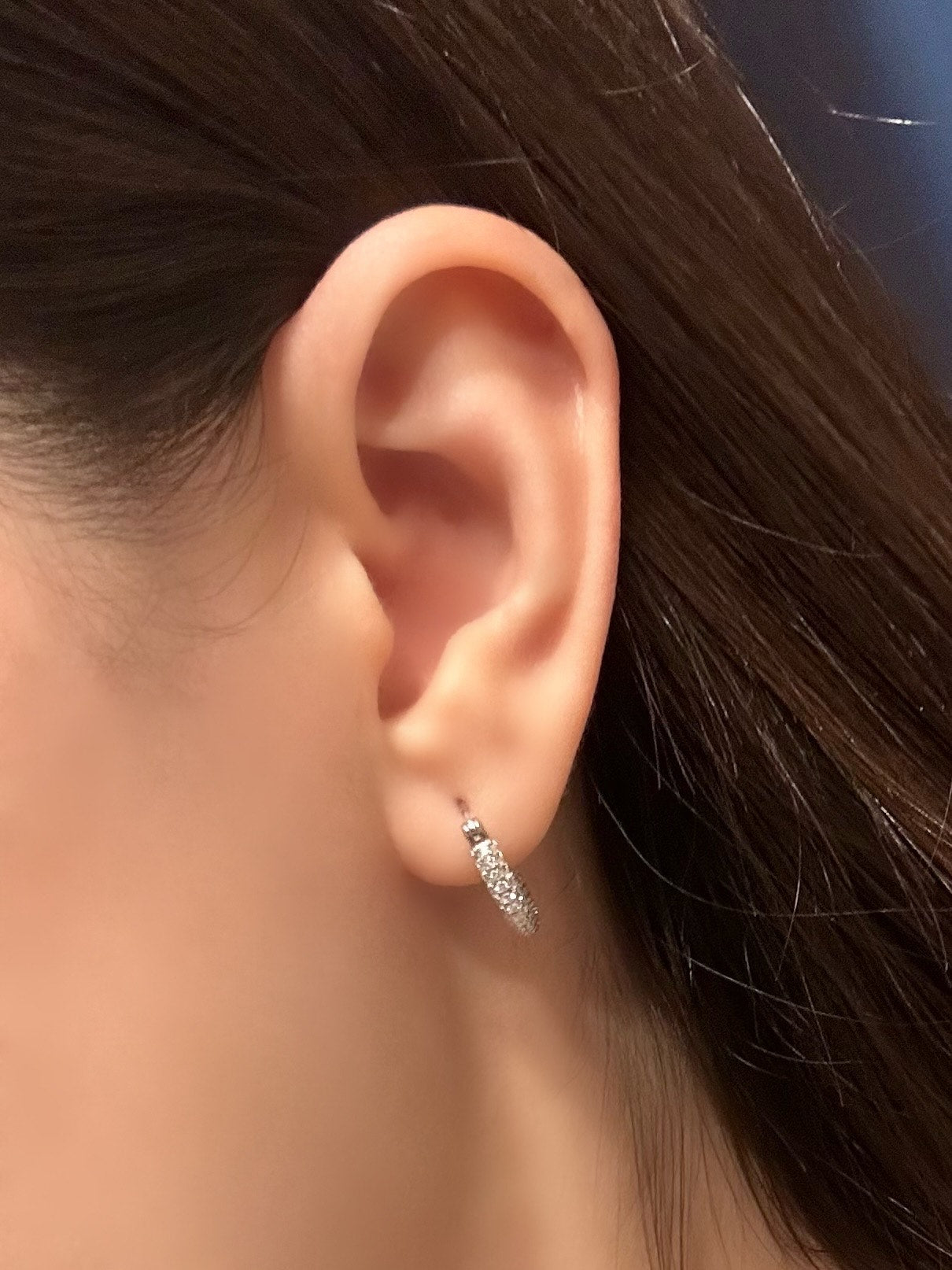 UI Earrings