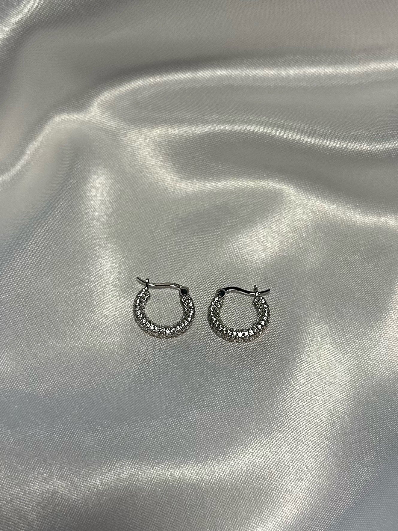 UI Earrings