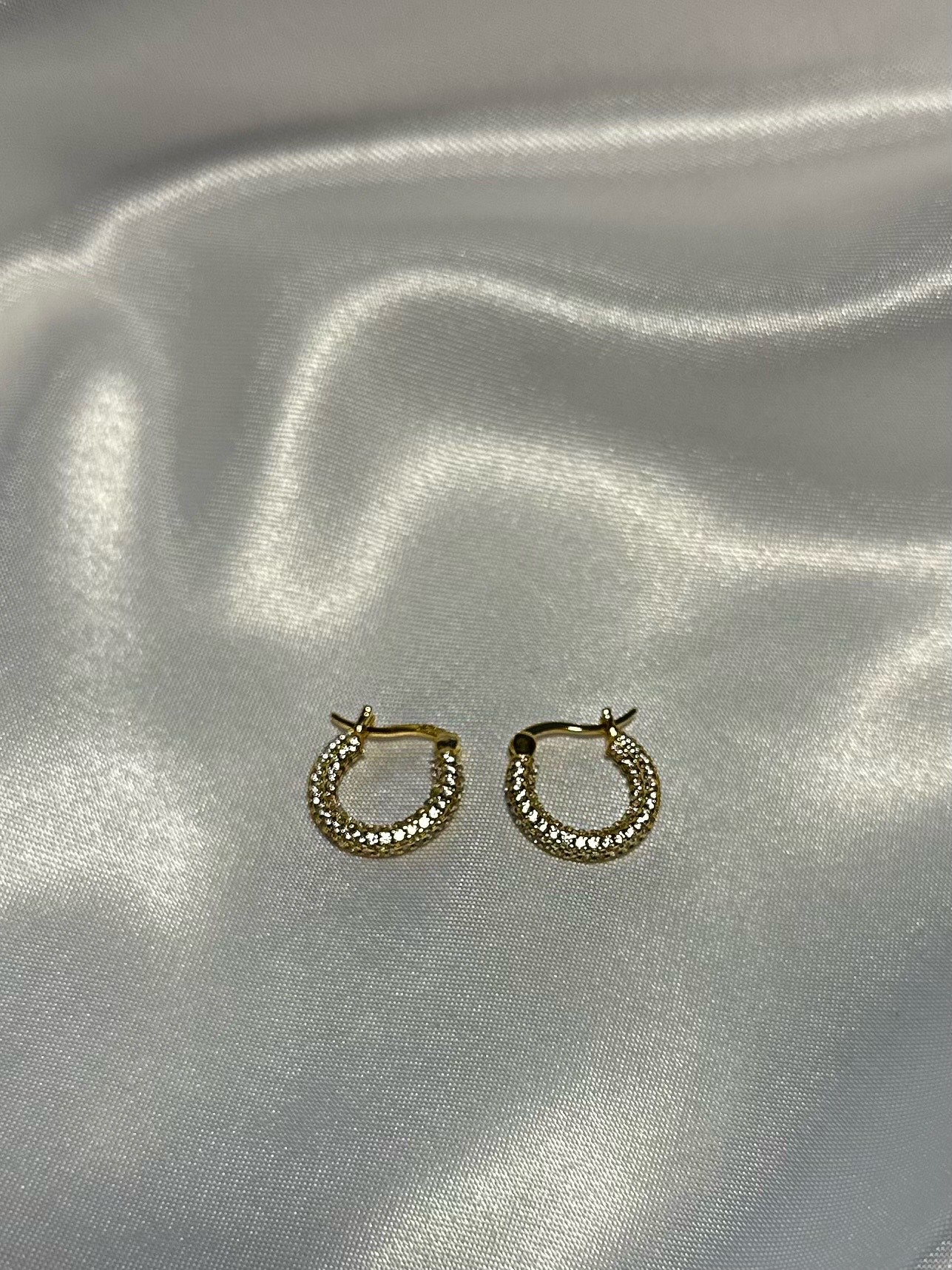 UI Earrings