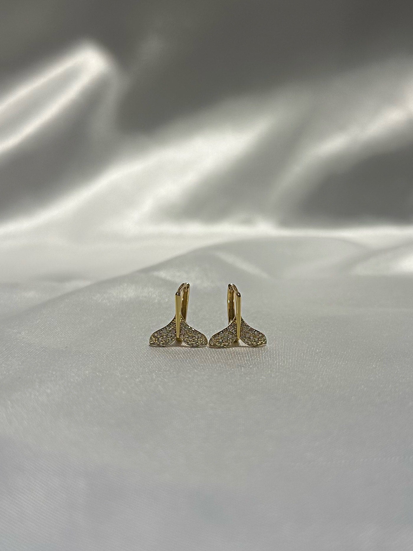 Tel Tail Earrings